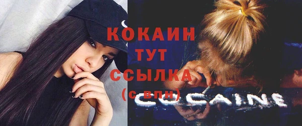 ПСИЛОЦИБИНОВЫЕ ГРИБЫ Белоозёрский