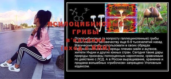 крисы Белокуриха