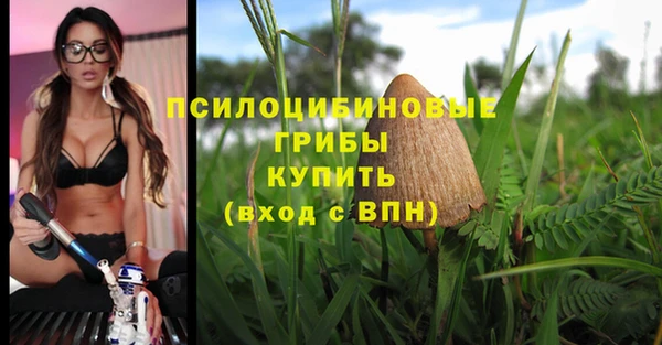 ПСИЛОЦИБИНОВЫЕ ГРИБЫ Белоозёрский