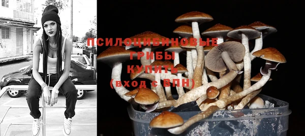 ПСИЛОЦИБИНОВЫЕ ГРИБЫ Белоозёрский