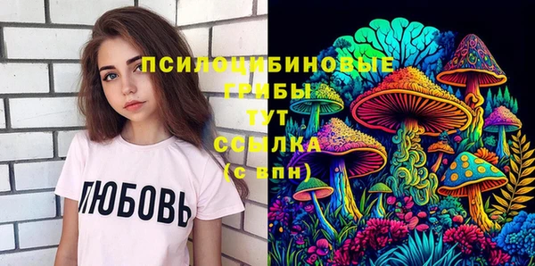 крисы Белокуриха